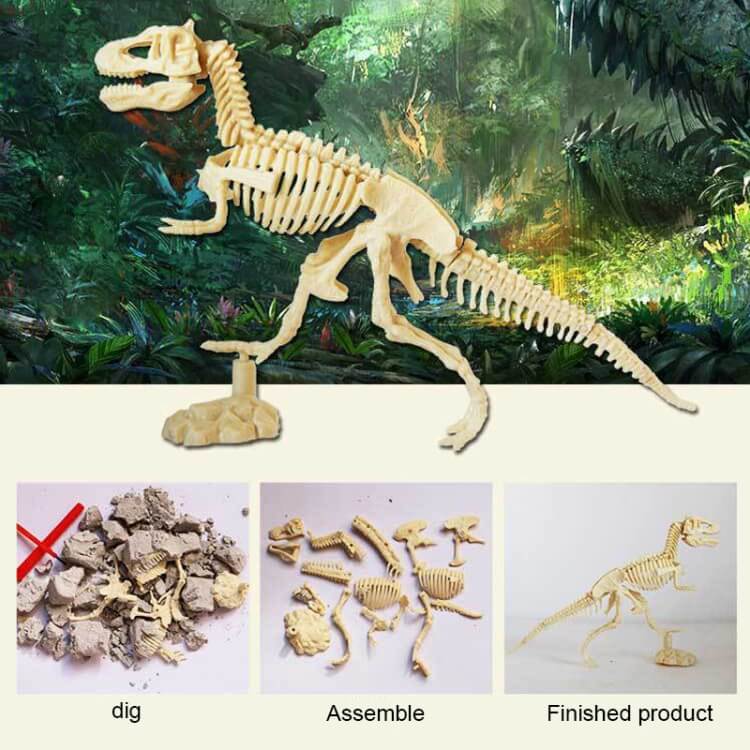 Ausgrabungsset Dinosaurier Tyrannosaurus - Image 3